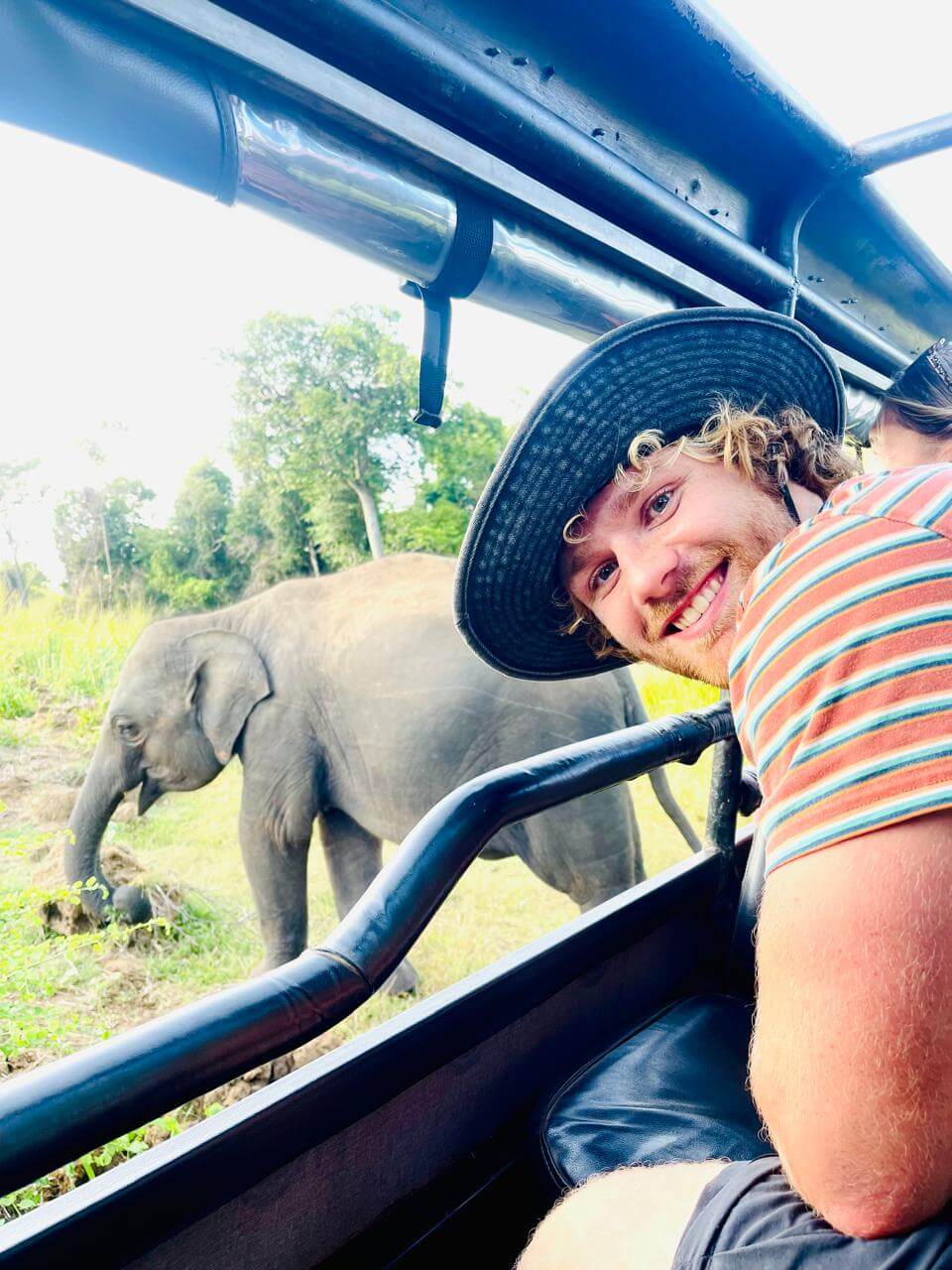 Wild Encounter: Up Close with Gentle Giants on a Sri Lankan Safari